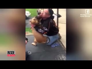 Stolen dog freak out recognizing his owner after 18 years