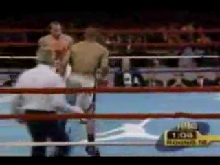 Roy jones luchwie nokauty best knockouts