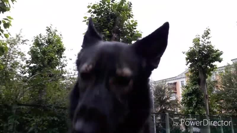 Сема goodgirl hd 720p mp4