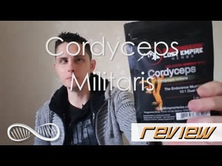 An invigorating military grade mushroom cordyceps militaris biohacker review