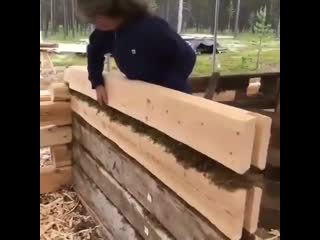 Как утепляют сруб мхом глаза боятся руки делают rfr entgkz n che, v[jv ukfpf,jzncz herb ltkf n rfr entgkz n che, v[jv