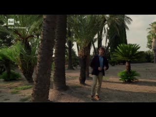 202 ulisse il gattopardo il romanzo della sicilia