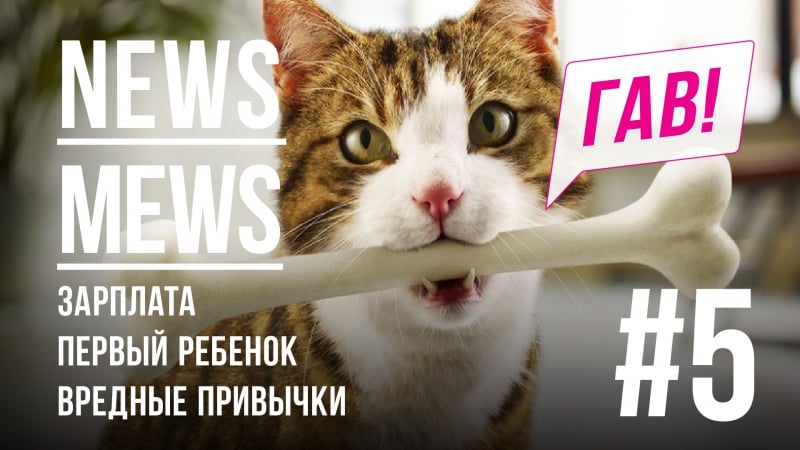 News mews #5 что нас ждёт в 2018 году?