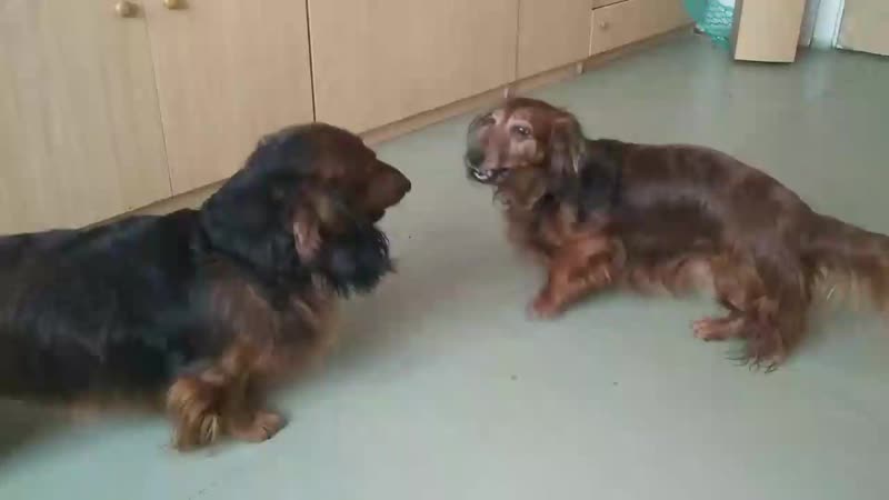 Утренний вынос мозга)))