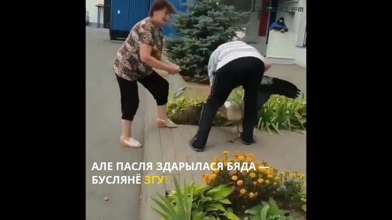 Бусел абдымае чалавека, які яго выратаваў