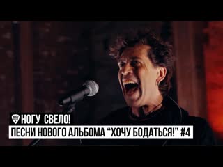 Песни нового альбома "хочу бодаться!" #4