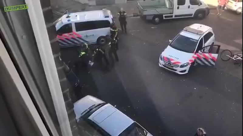 Полиция нидерландов