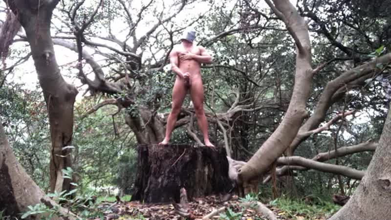 Пенек porn video – Встал на пенек и кончил