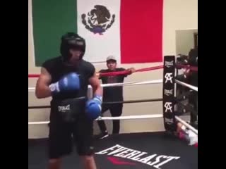 Canelo is definitely the best counter puncher in the sport right now