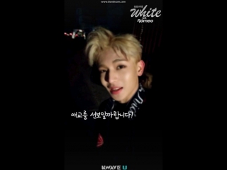 20170314 'heart porn white with romeo kang min' in kwave u app