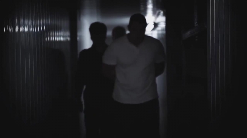 Хаак нигатив (триада) дым (легенды про) оми1 трилогия