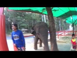 Английские идиомы walk a mile in my shoes to cost an arm and a leg in a nutshell