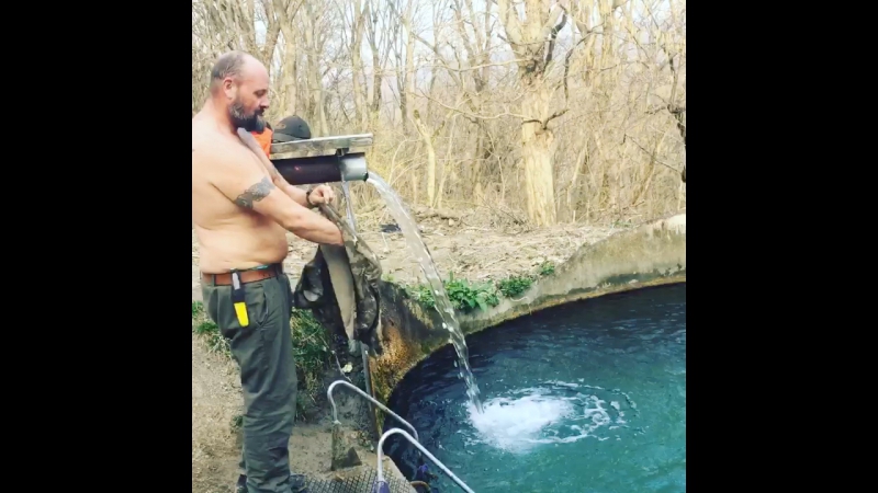 Купель родниковая вода рядом с домом