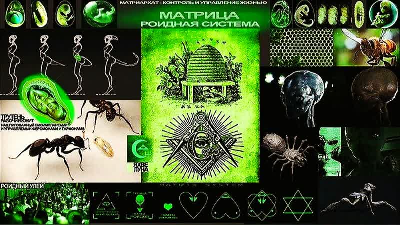 Матрица и гаввах!!!