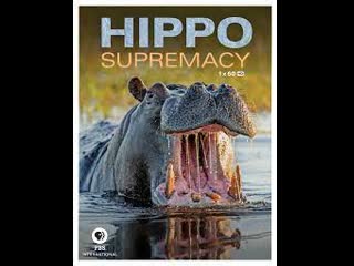 Превосходство бегемота / the hippo supremacy