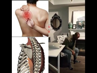 Feeling shoulder blade pain? try this easy stretch! [desk work education]