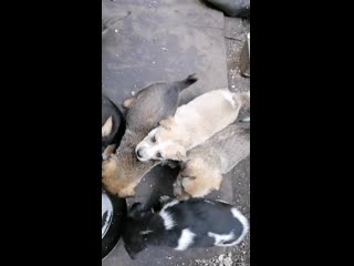 Vid 20200912 143404 mp4