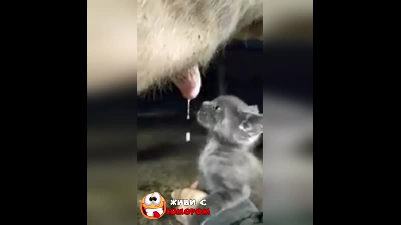 Лyчшe пycть пyзo лoпнeт)