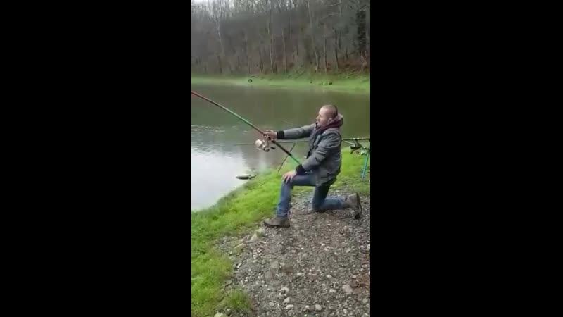 Поклеа небольшая