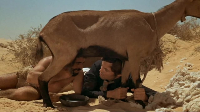 Я пойду, как бешеный конь (1973, 18+) драма, эротика фернандо аррабаль 720p]