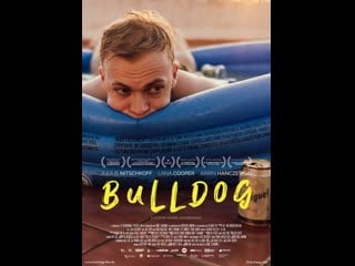 Бульдог (2022) bulldog