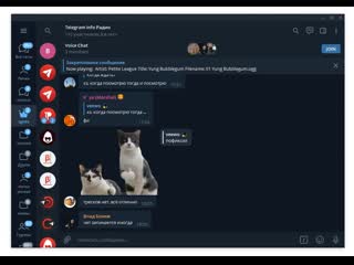 Групповые звонки в telegram desktop