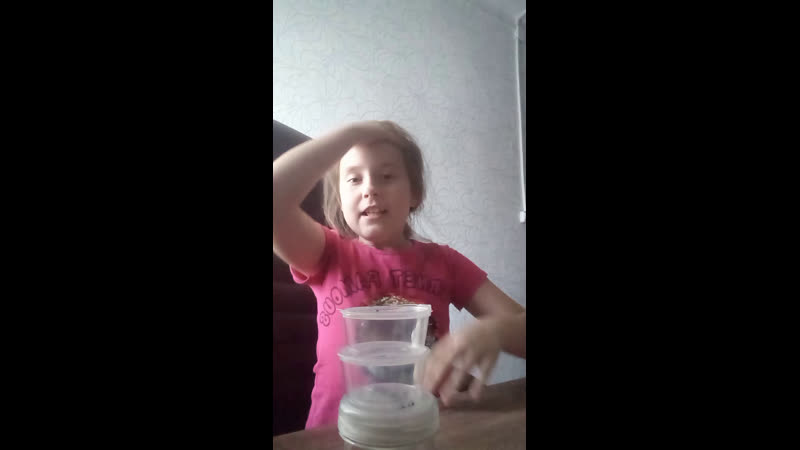 Live 🥭манго слайм🥭
