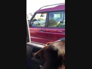 Sharing is caring on the freeway