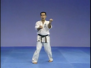 Kata kyokushinkai