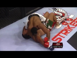 Ronaldo jacare souza ufc highlights [hello japan]