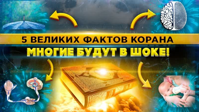 А вы знали это о коране шокирующие факты корана коран и факты 5 фактов из корана