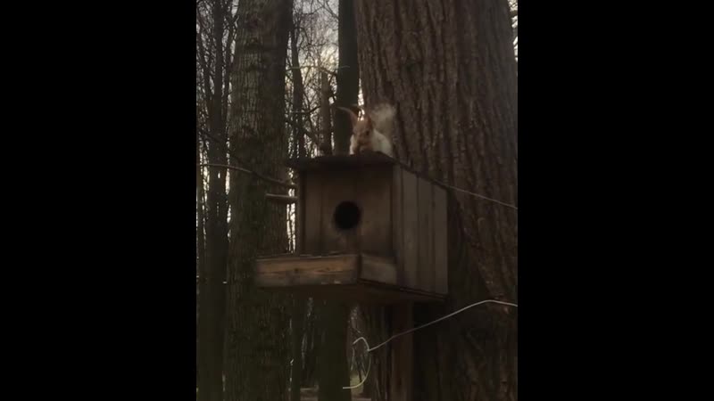 Парк цпкио 🐿 🦆 @ alekseiterioshin #rzn life #рзнлайф #rznlife #рзнлайф #рязань #рзн #rzn #ryazan #ryazan official #ryazan gorod