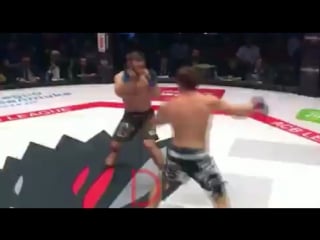 Hl магомеда магомедова