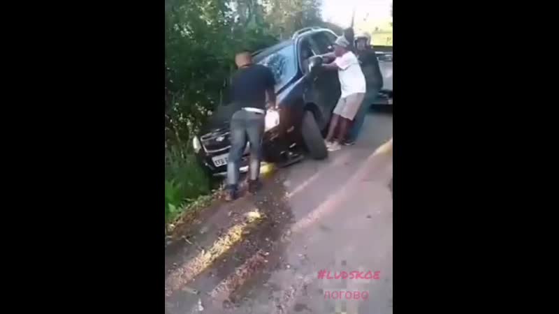 #ludskoe медвежья услуга