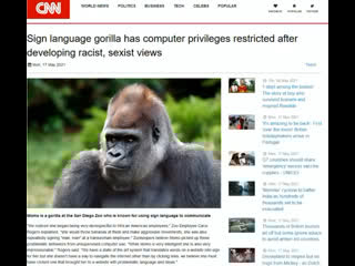 Porn sexist gorilla