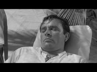 The night of the iguana (1964), john huston