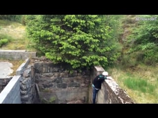 Робкие яички