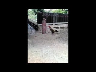 Подборка n 1 молодые мир