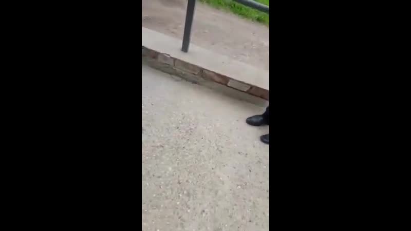 Глава печорского района(единоросс) кроет матом сотрудника полиции