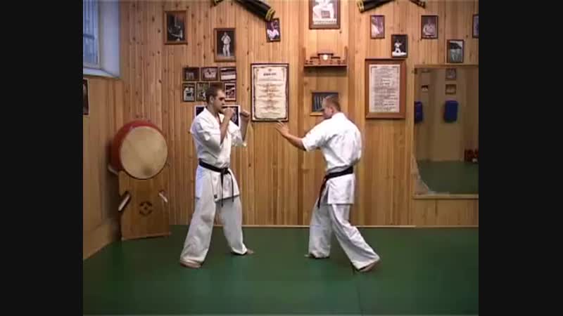 Маваши гери чудан в киокушинкай карате
