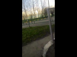 Vid 20160429 164434