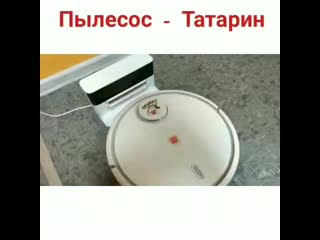 Пылесос татарина