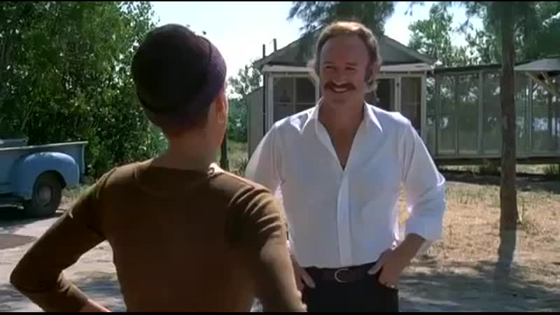 La noche se mueve (night moves, 1975) arthur penn [secreto oculto en el mar]