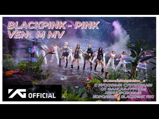 Blackpink pink venom mv |