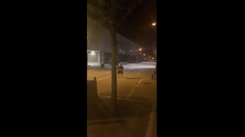 Камера автоматической фиксации с интересными снимками