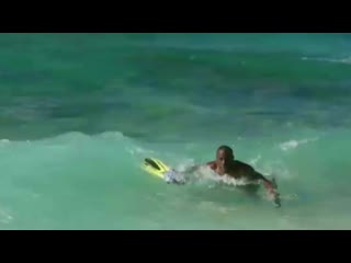 Черный нептун