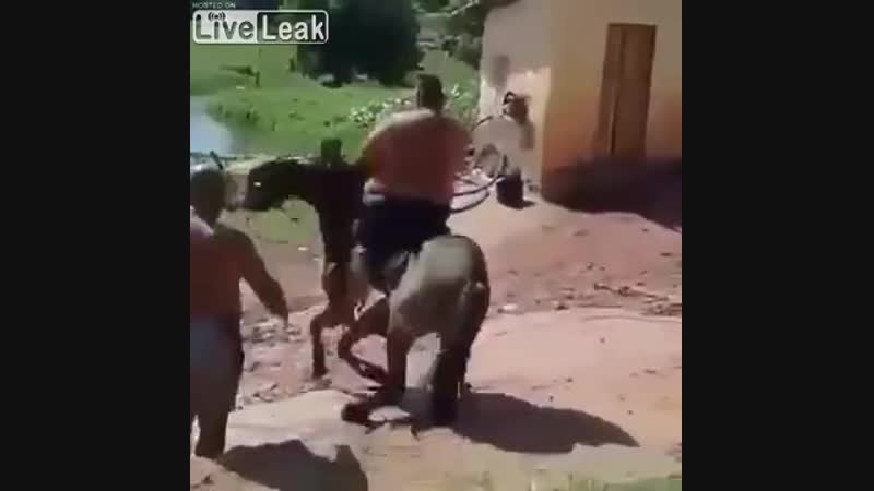 Лучше пешком