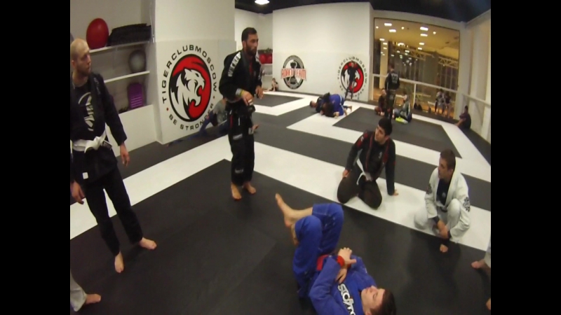 Adaev team | checkmat moscow | training day #1