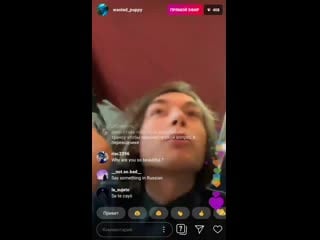 Wasted puppy трансляция