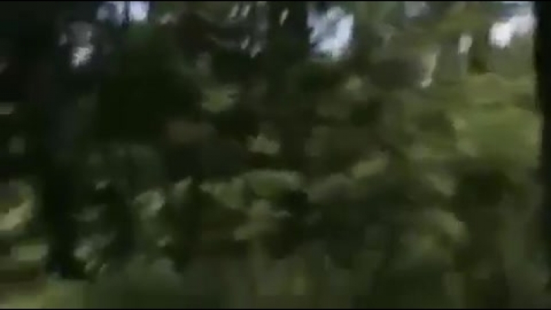 Авария г байканур камаз приехал на казахскую свадьбу